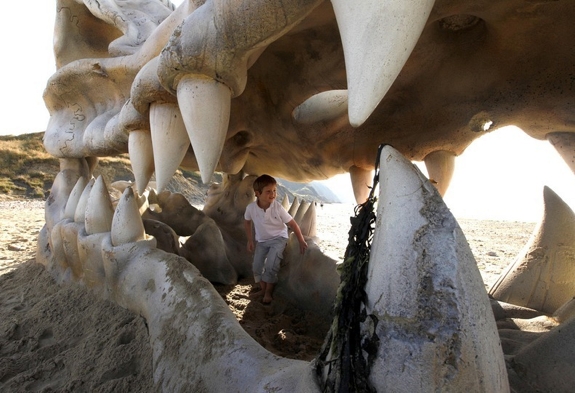 Giant Dragon Skull Found on Jurassic Coast in England Really Blinkbox Marketing Stunt